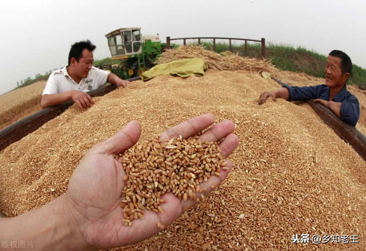 農(nóng)村俗話說：正月雷，墓谷堆，不同月份打雷有什么說法？