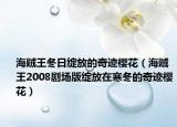 海賊王冬日綻放的奇跡櫻花（海賊王2008劇場版綻放在寒冬的奇跡櫻花）