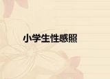 小學(xué)生性感照
