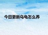 今日更新烏龜怎么養(yǎng)