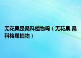 無花果是?？浦参飭幔o花果 ?？崎艑僦参铮? /></span></a>
                        <h2><a  title=