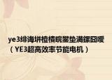 ye3緋誨垪楂樻晥鐢墊満鏍囧噯（YE3超高效率節(jié)能電機）