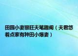 田園小妻狠旺夫筆趣閣（夫君悠著點(diǎn)家有種田小爆妻）