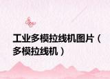 工業(yè)多模拉線機(jī)圖片（多模拉線機(jī)）