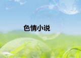 色情小說(shuō)