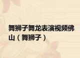 舞獅子舞龍表演視頻佛山（舞獅子）