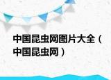 中國昆蟲網(wǎng)圖片大全（中國昆蟲網(wǎng)）
