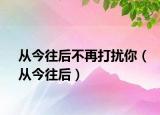 從今往后不再打擾你（從今往后）