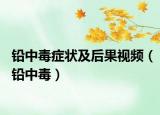 鉛中毒癥狀及后果視頻（鉛中毒）