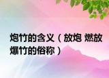 炮竹的含義（放炮 燃放爆竹的俗稱）
