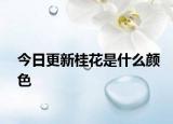 今日更新桂花是什么顏色