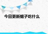 今日更新蝎子吃什么
