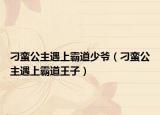 刁蠻公主遇上霸道少爺（刁蠻公主遇上霸道王子）