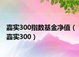 嘉實300指數(shù)基金凈值（嘉實300）
