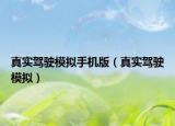 真實(shí)駕駛模擬手機(jī)版（真實(shí)駕駛模擬）