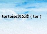 tortoise怎么讀（tor）