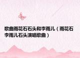 歌曲雨花石石頭和李雨兒（雨花石 李雨兒石頭演唱歌曲）