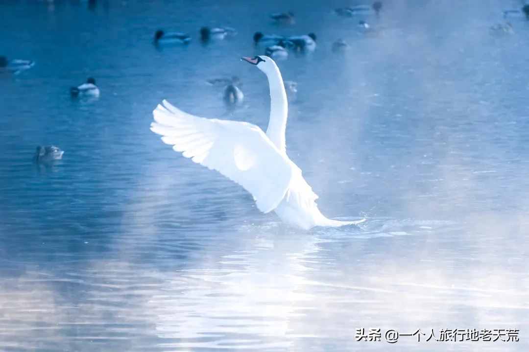 11月，全國最美的20個(gè)地方，哪個(gè)最讓你心動