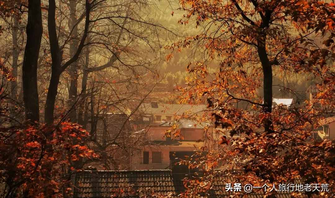11月，全國最美的20個(gè)地方，哪個(gè)最讓你心動