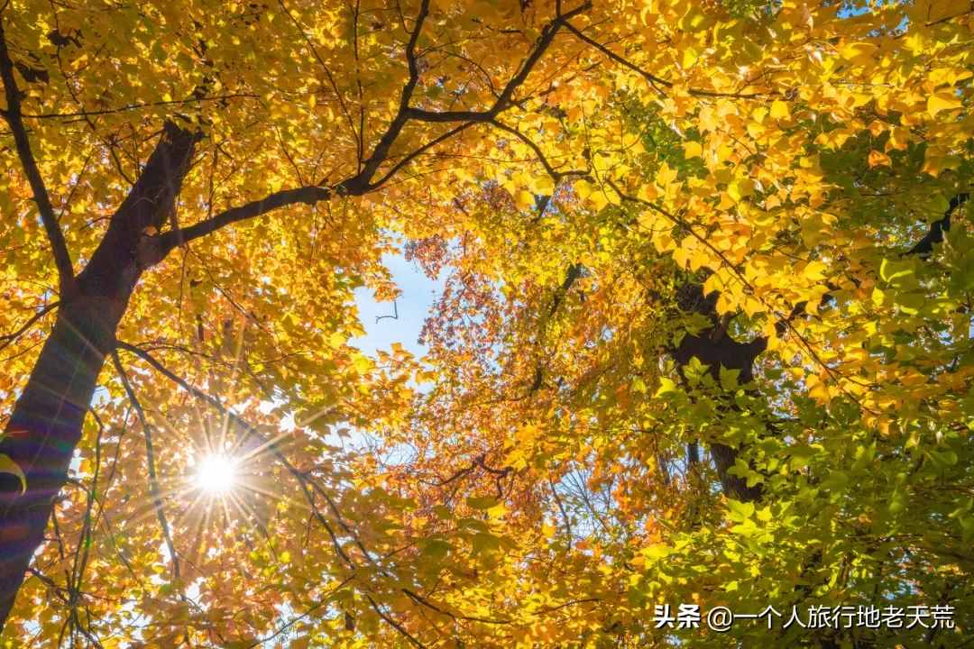 11月，全國最美的20個(gè)地方，哪個(gè)最讓你心動
