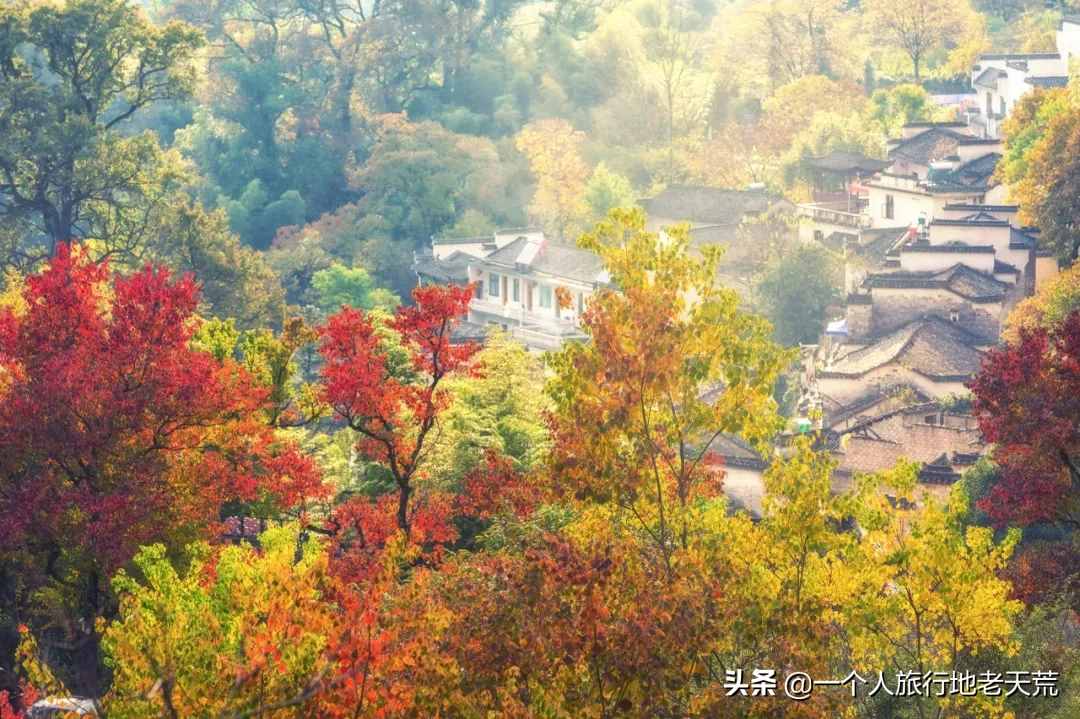 11月，全國最美的20個(gè)地方，哪個(gè)最讓你心動