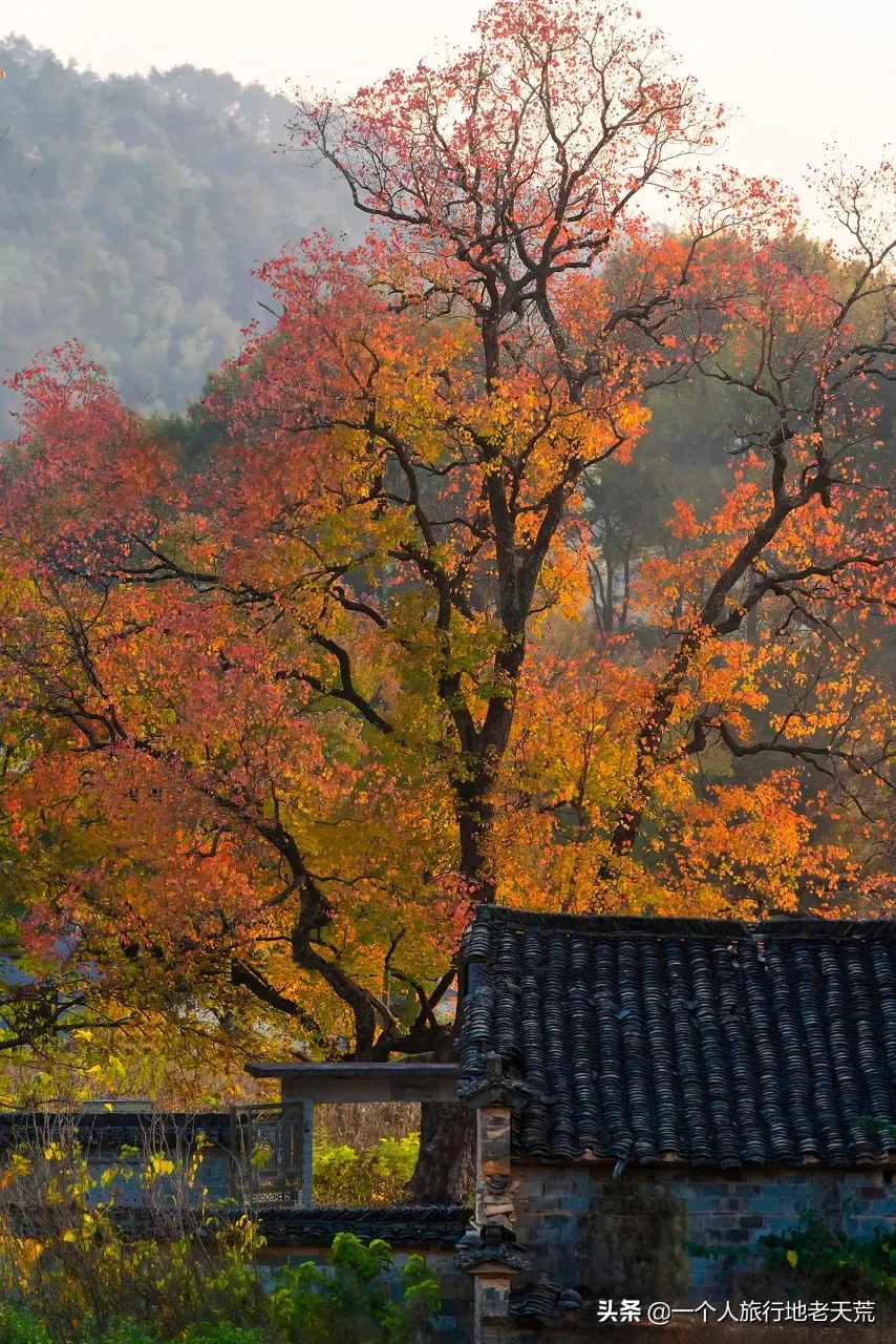 11月，全國最美的20個(gè)地方，哪個(gè)最讓你心動
