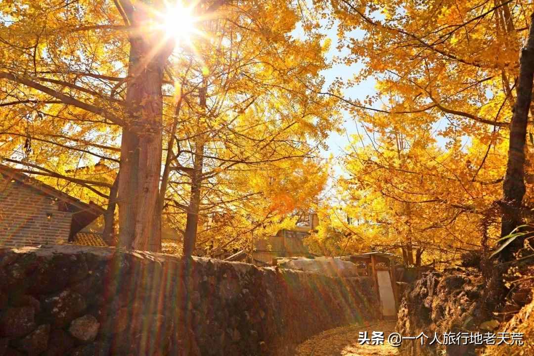 11月，全國最美的20個(gè)地方，哪個(gè)最讓你心動
