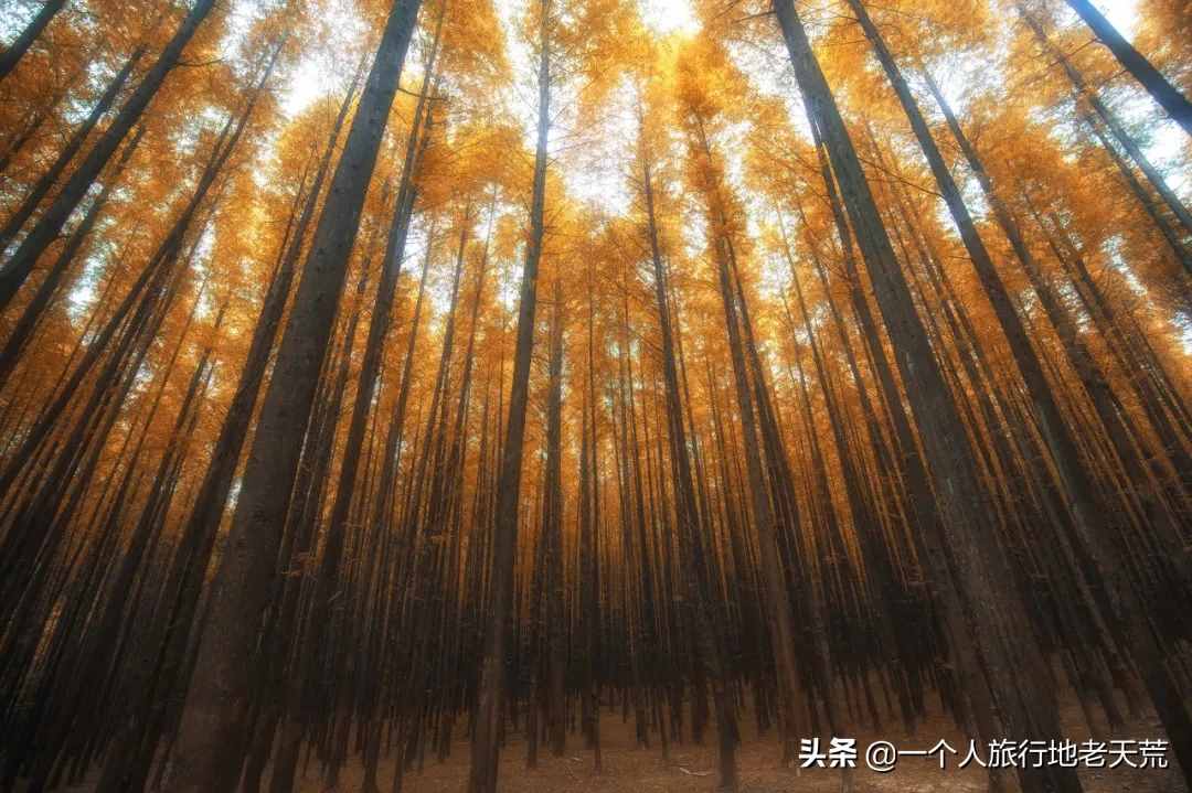 11月，全國最美的20個(gè)地方，哪個(gè)最讓你心動