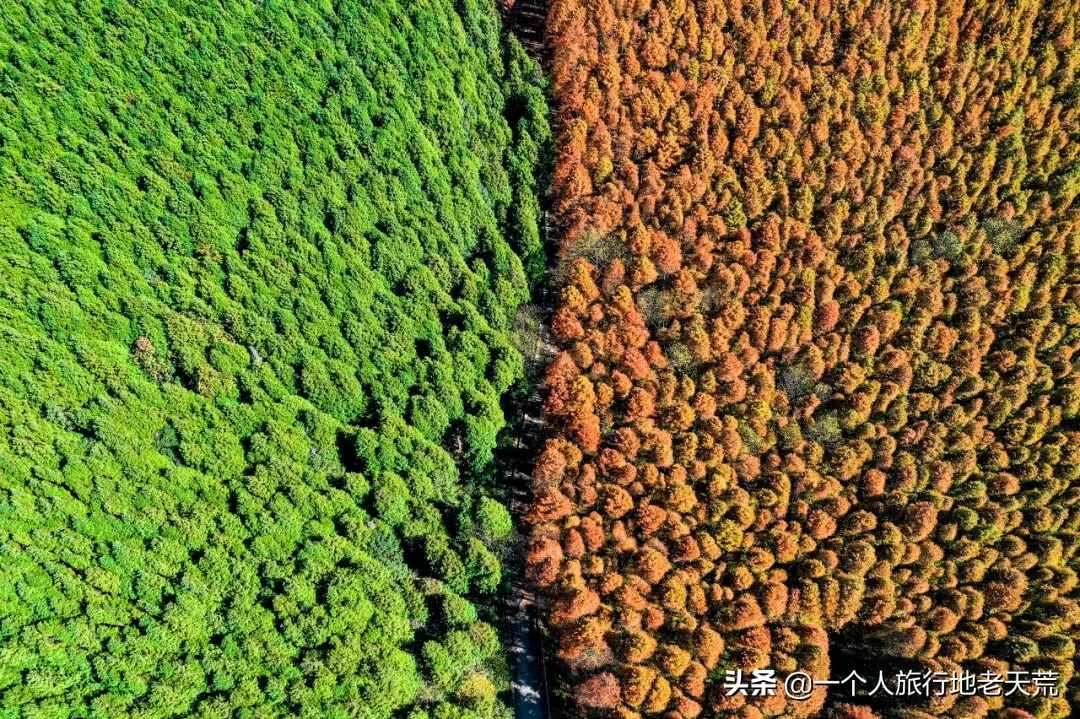 11月，全國最美的20個(gè)地方，哪個(gè)最讓你心動