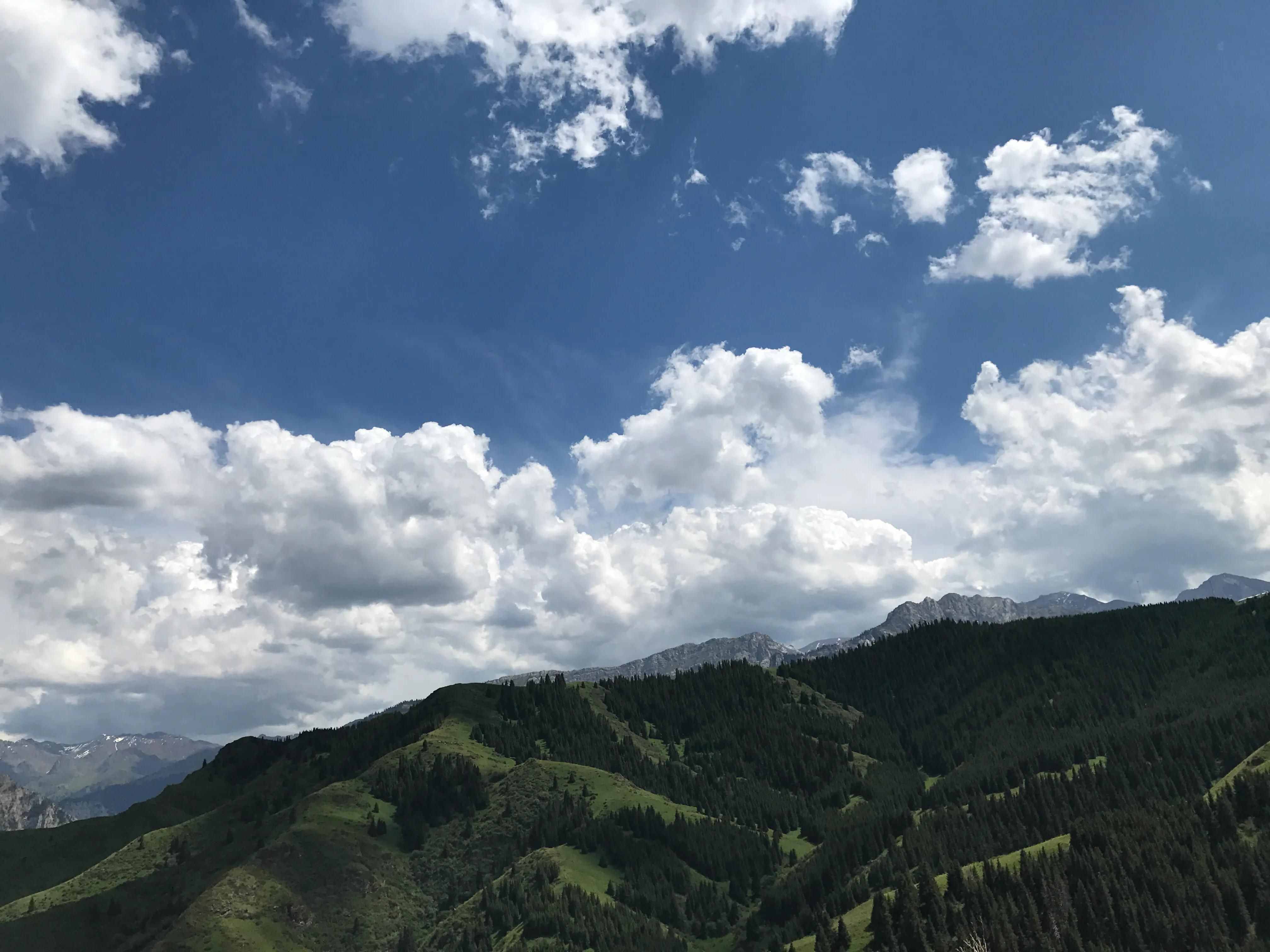 這里是新疆最美的旅游勝地，是可可托海養(yǎng)蜂女的落腳點(diǎn)～大美伊犁