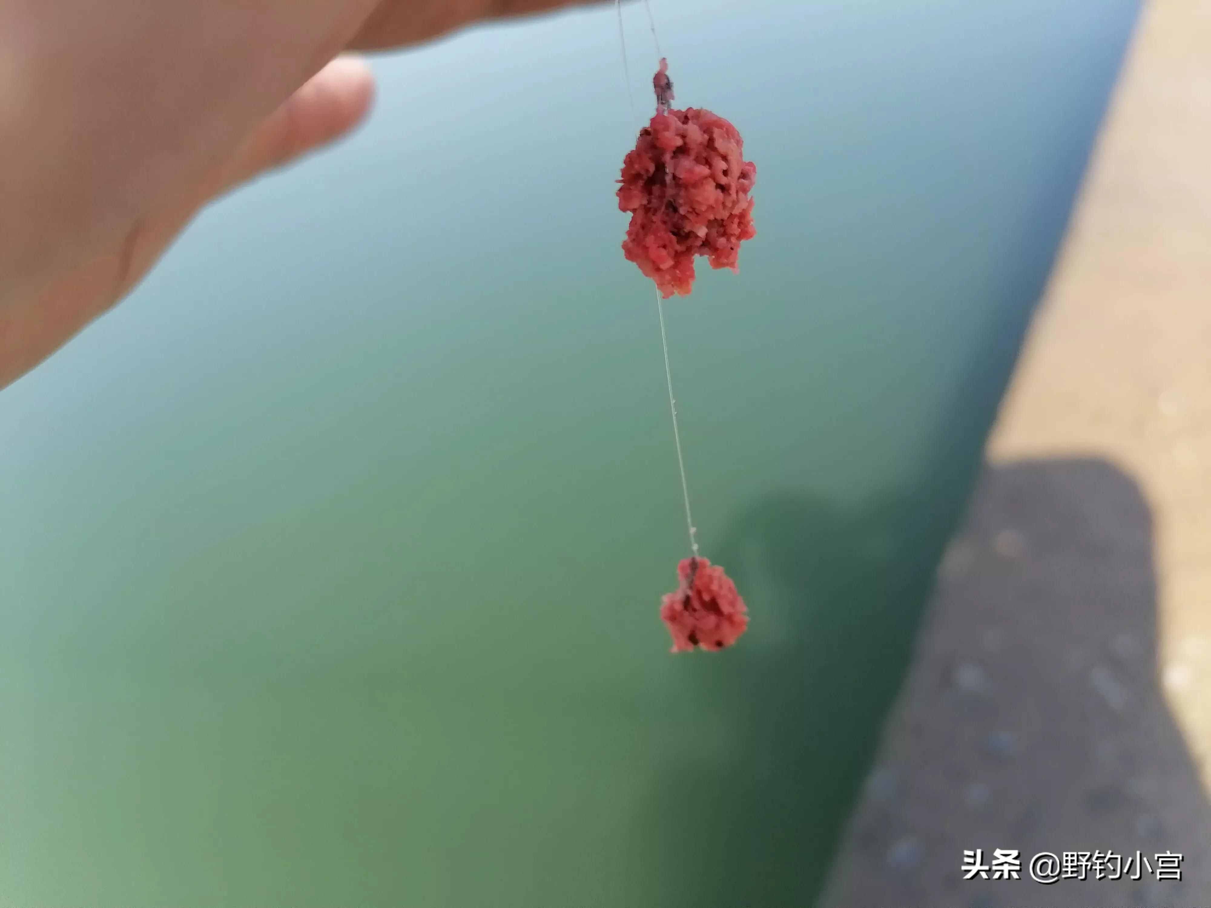 臺(tái)釣學(xué)會(huì)看漂相抓口，魚(yú)獲比別人多一半，不信看完評(píng)論區(qū)見(jiàn)