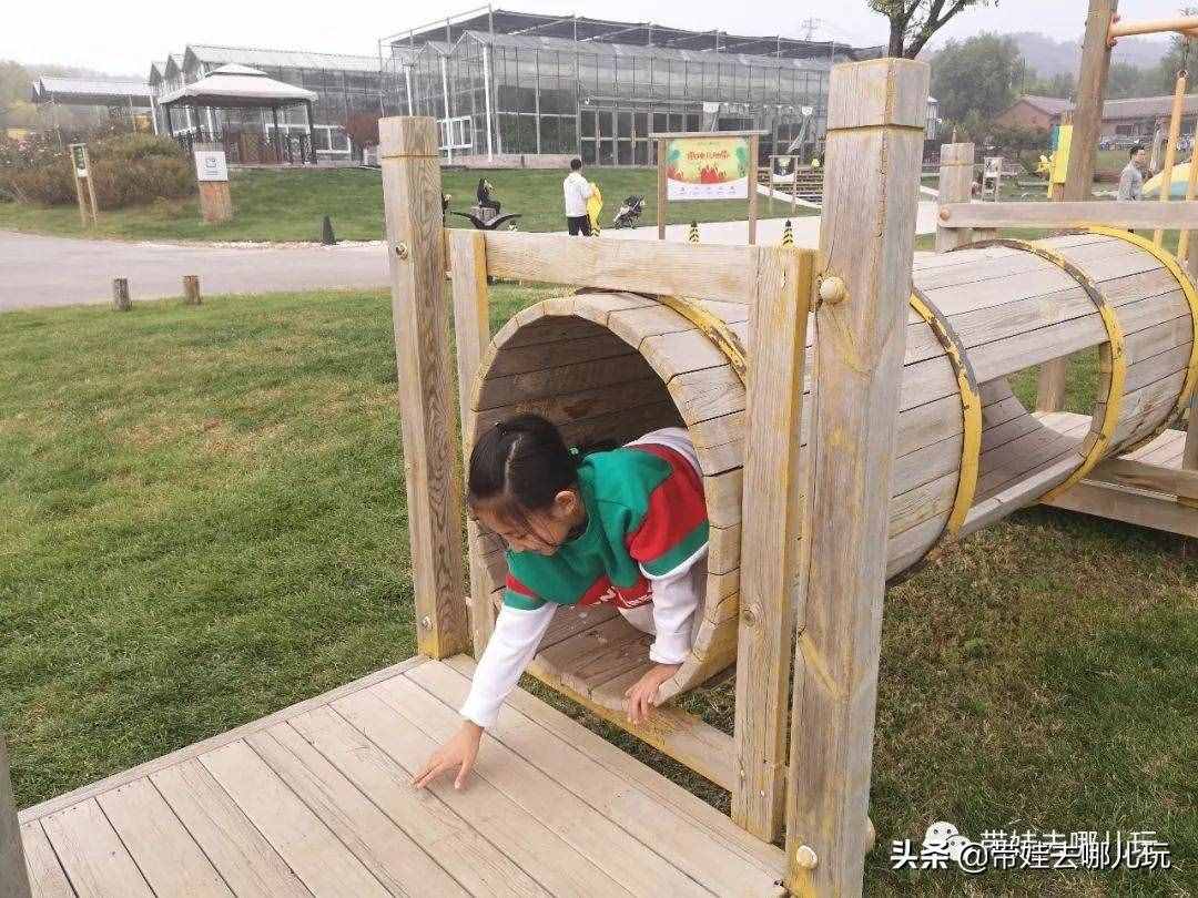 住別墅、滾草坪、躺在床上看電影，密云輕奢營(yíng)地的花樣玩法