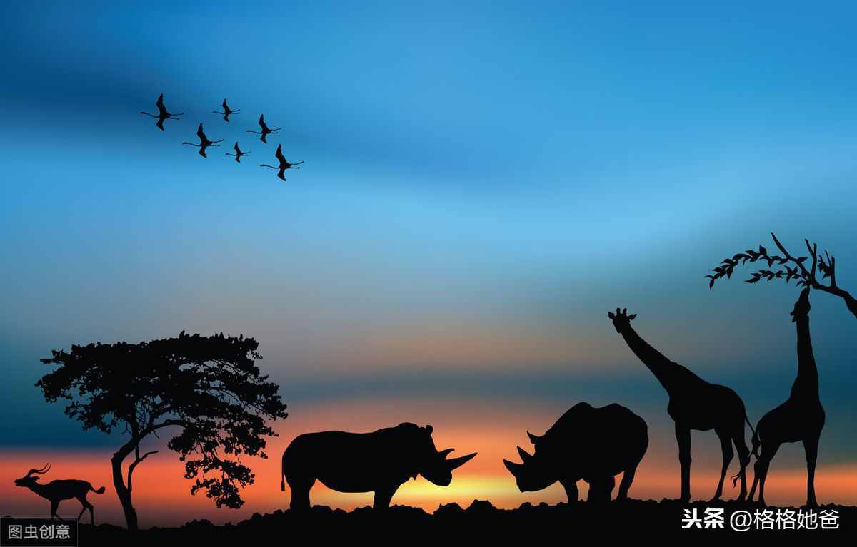 非洲地區(qū)的國(guó)家全稱及首都名稱