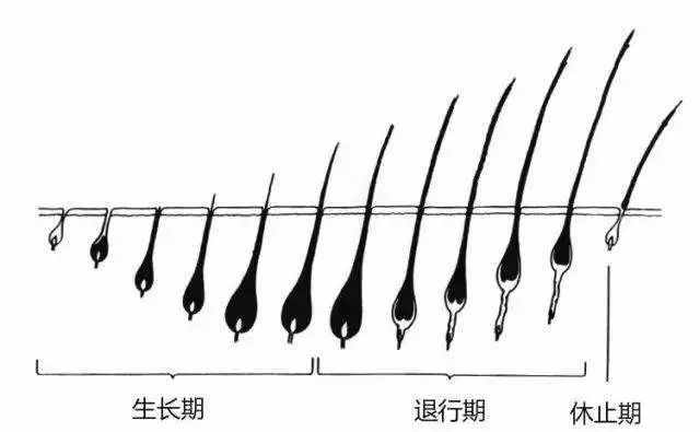 脫毛怎么都做不對(duì)？那是你選錯(cuò)了方法