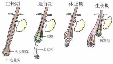脫毛怎么都做不對(duì)？那是你選錯(cuò)了方法