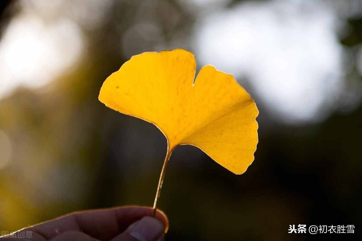 最美秋詞：黃葉無風(fēng)自落，彩云不雨空歸，背后有一則凄婉故事