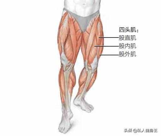 打造強壯的腿部肌肉，需掌握這六個訓練動作