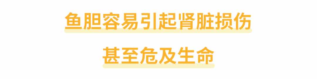 還有人不知道嗎？魚(yú)膽不是治病偏方，它有毒