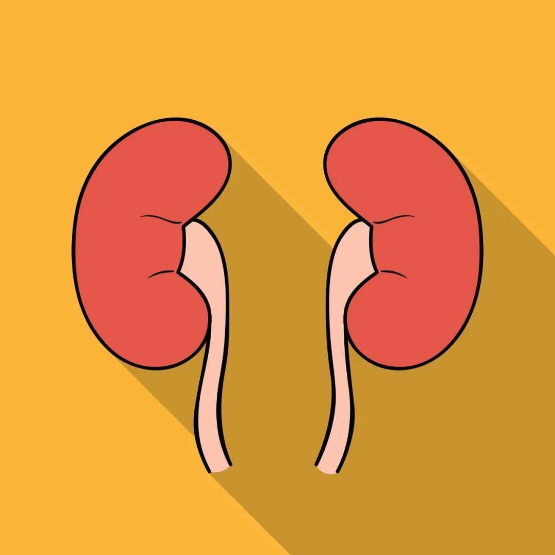 還有人不知道嗎？魚(yú)膽不是治病偏方，它有毒