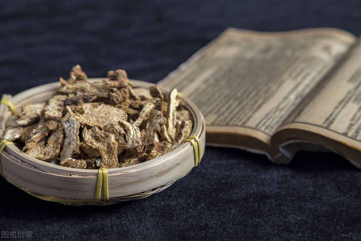 蒼術(shù)的功效與作用？祛濕健脾，還能減掉啤酒肚