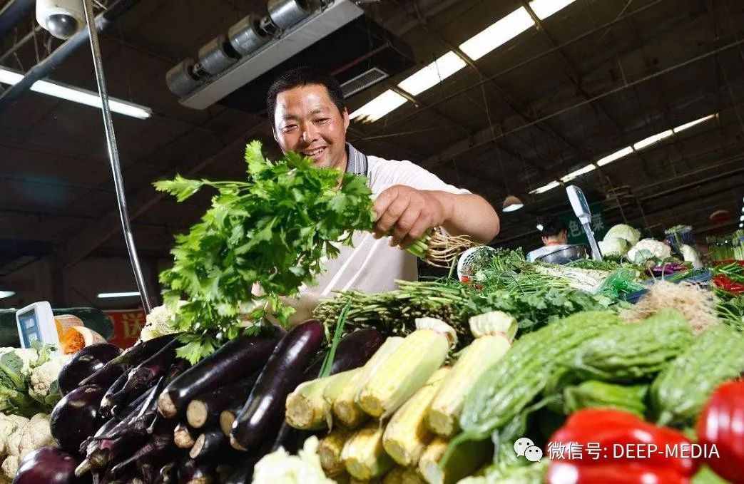 可有放心菜？健康的菜籃子，承載一個小家最平凡的幸福