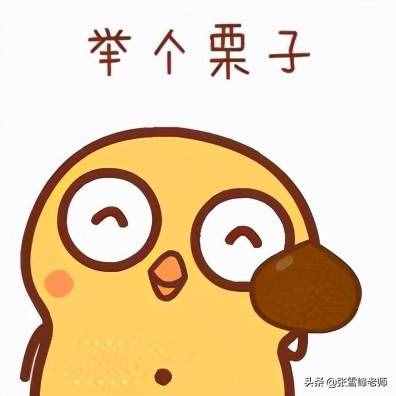 公辦大學(xué)、民辦大學(xué)、獨立學(xué)院怎么區(qū)分？