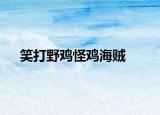 笑打野雞怪雞海賊