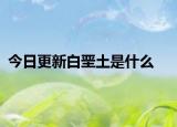 今日更新白堊土是什么