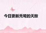 今日更新禿鷲的天敵