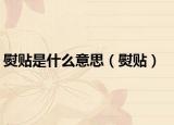 熨貼是什么意思（熨貼）