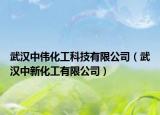 武漢中偉化工科技有限公司（武漢中新化工有限公司）