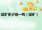 錳礦多少錢一噸（錳礦）