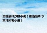 重臨巔峰沙雕小說（重臨巔峰 水草坪所著小說）