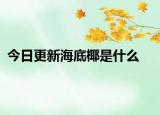 今日更新海底椰是什么